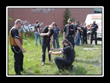 Peter - Bild 13