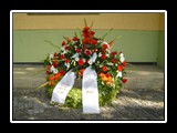 Peter - Bild 17