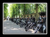 Ralle - Bild 15