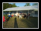 Tour 2008 - Bild 20