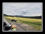 Tour 2025 - Bild 13