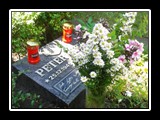 Jahr 2014 - Bild 067