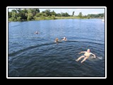 Jahr 2014 - Bild 080