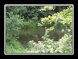 Jahr 2019 - Bild 082