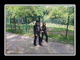 Jahr 2019 - Bild 083