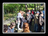 Jahr 2019 - Bild 103
